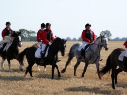 323_10151090366718585_20476580_n